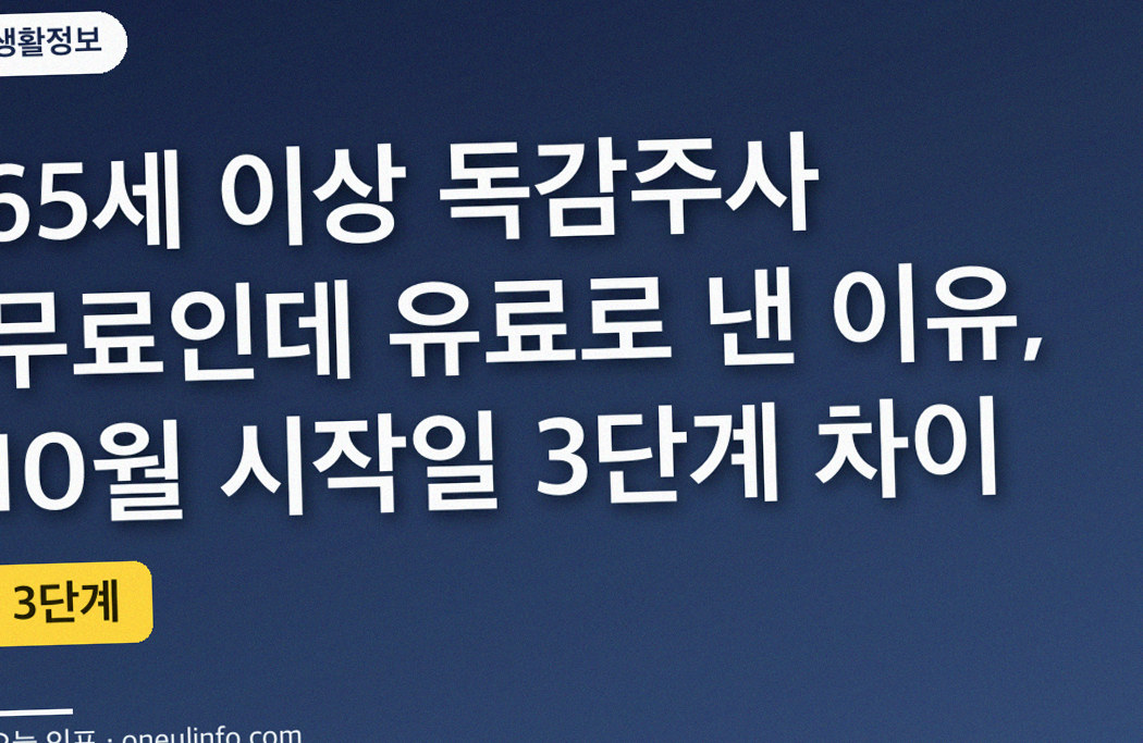 65세 이상 독감주사 무료인데 유료로 낸 이유, 10월 시작일 3단계 차이