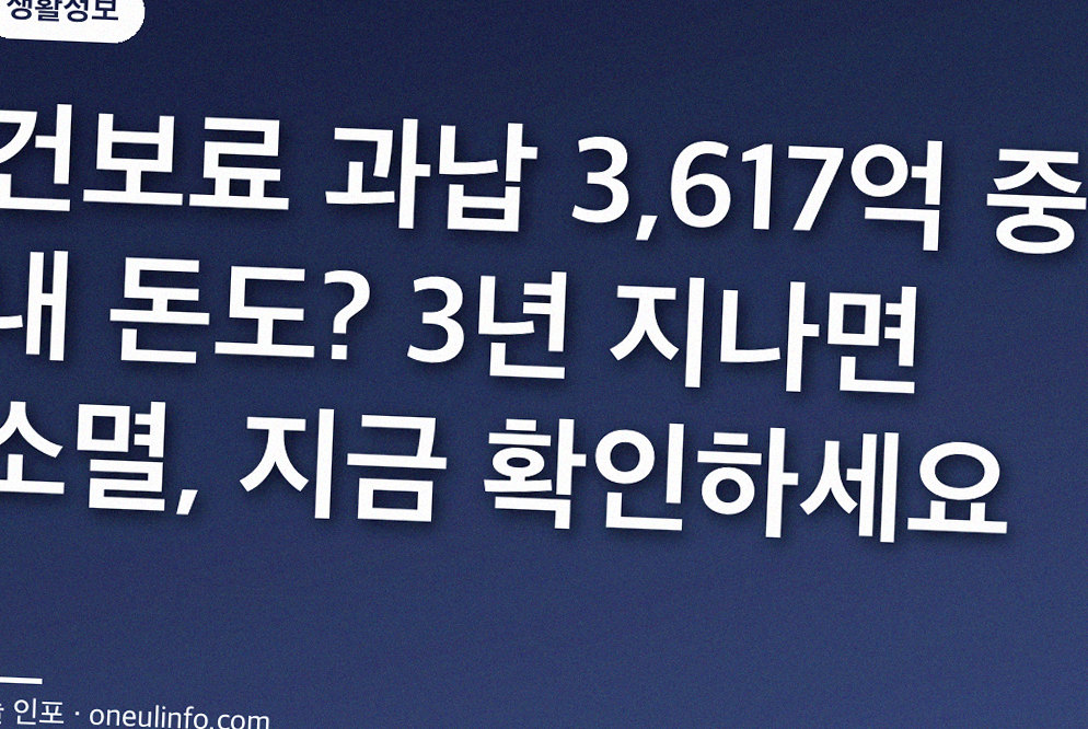 건보료 과납 3,617억 중 내 돈도? 3년 지나면 소멸, 지금 확인하세요