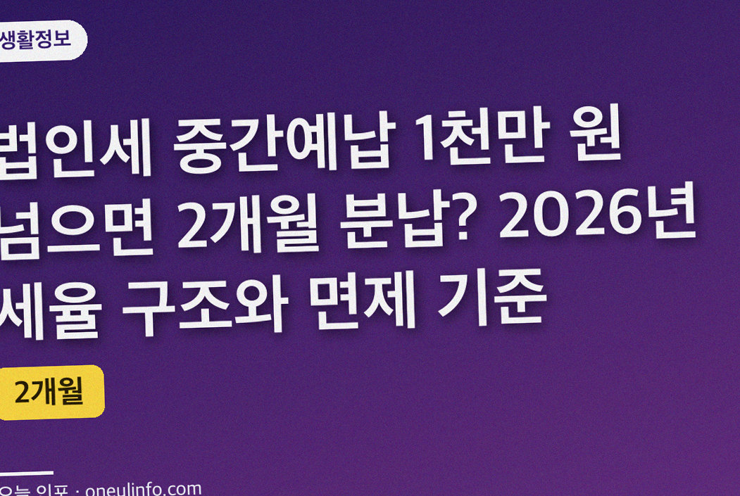 법인세 중간예납 1천만 원 넘으면 2개월 분납? 2026년 세율 구조와 면제 기준