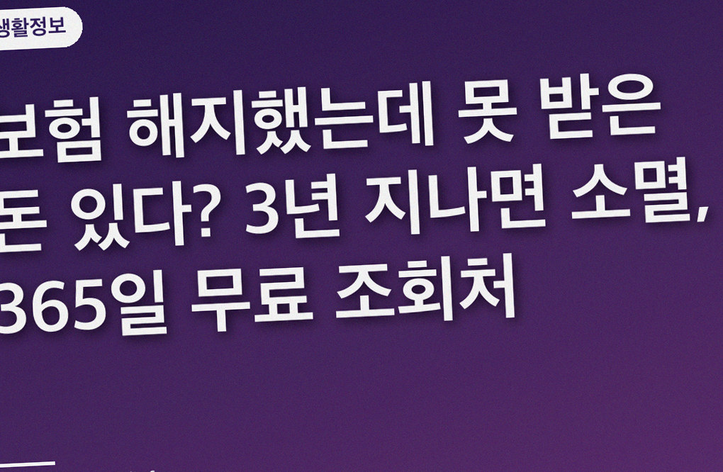 보험 해지했는데 못 받은 돈 있다? 3년 지나면 소멸, 365일 무료 조회처