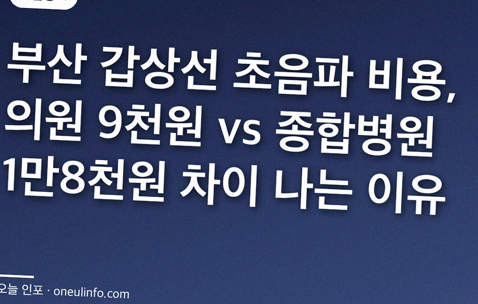 부산 갑상선 초음파 비용, 의원 9천원 vs 종합병원 1만8천원 차이 나는 이유