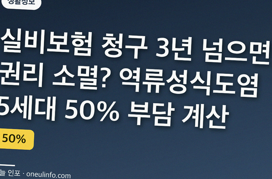 실비보험 청구 3년 넘으면 권리 소멸? 역류성식도염 5세대 50% 부담 계산