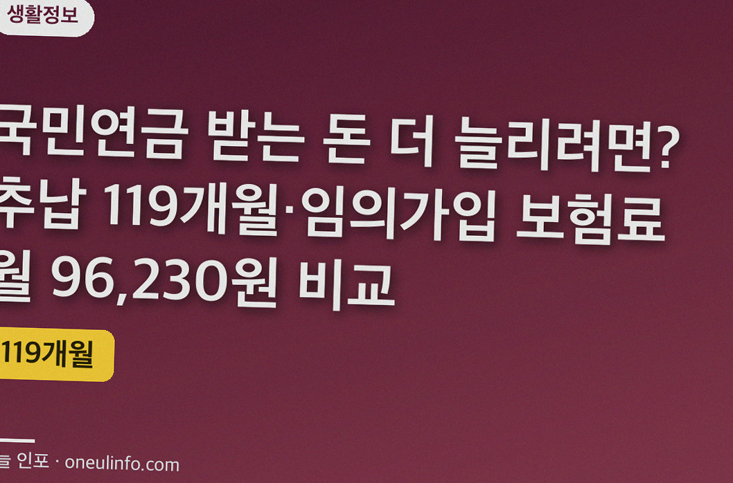 국민연금 받는 돈 더 늘리려면? 추납 119개월·임의가입 보험료 월 96,230원 비교