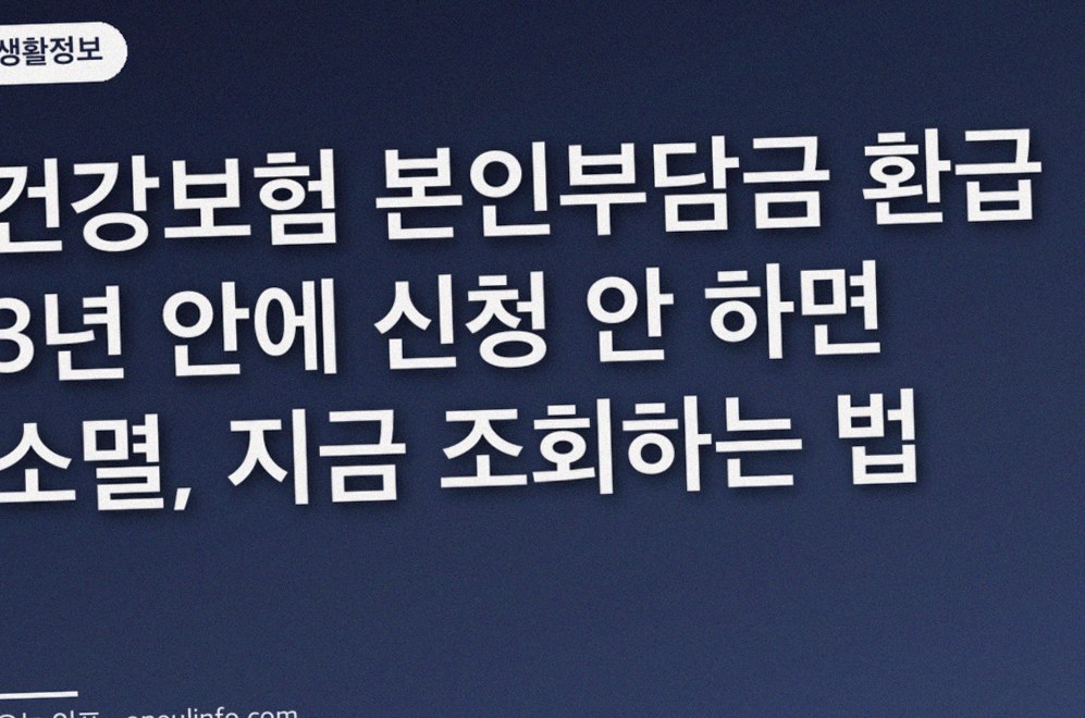 건강보험 본인부담금 환급 3년 안에 신청 안 하면 소멸, 지금 조회하는 법