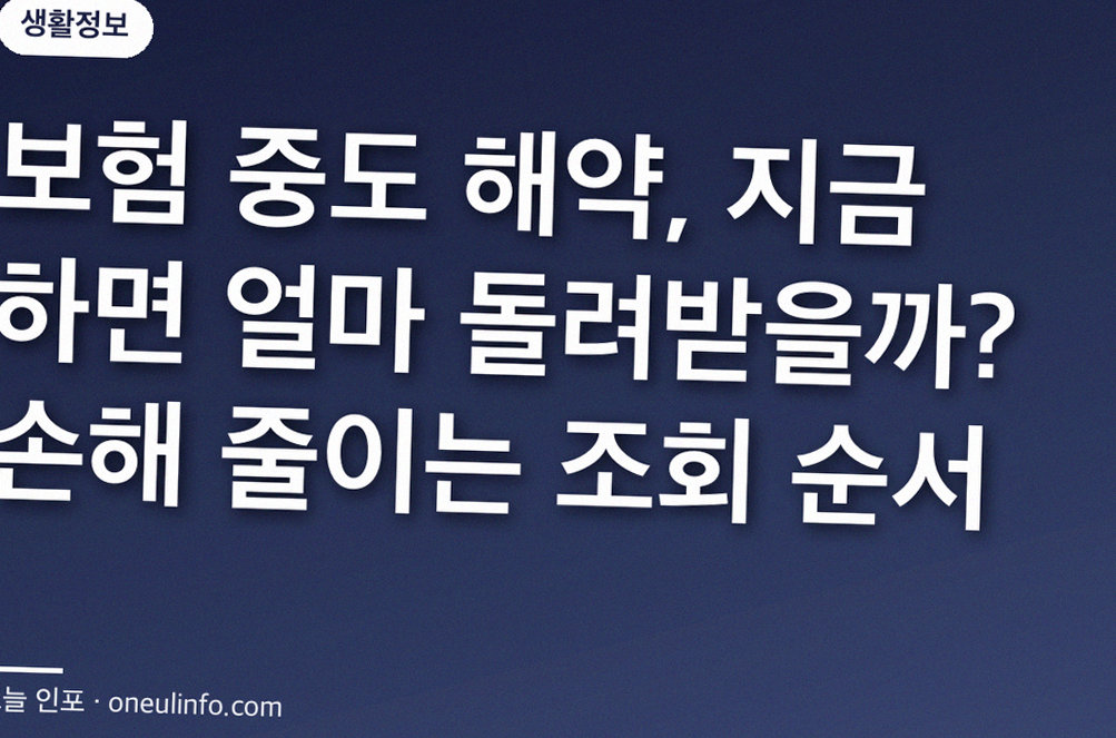 보험 중도 해약, 지금 하면 얼마 돌려받을까? 손해 줄이는 조회 순서