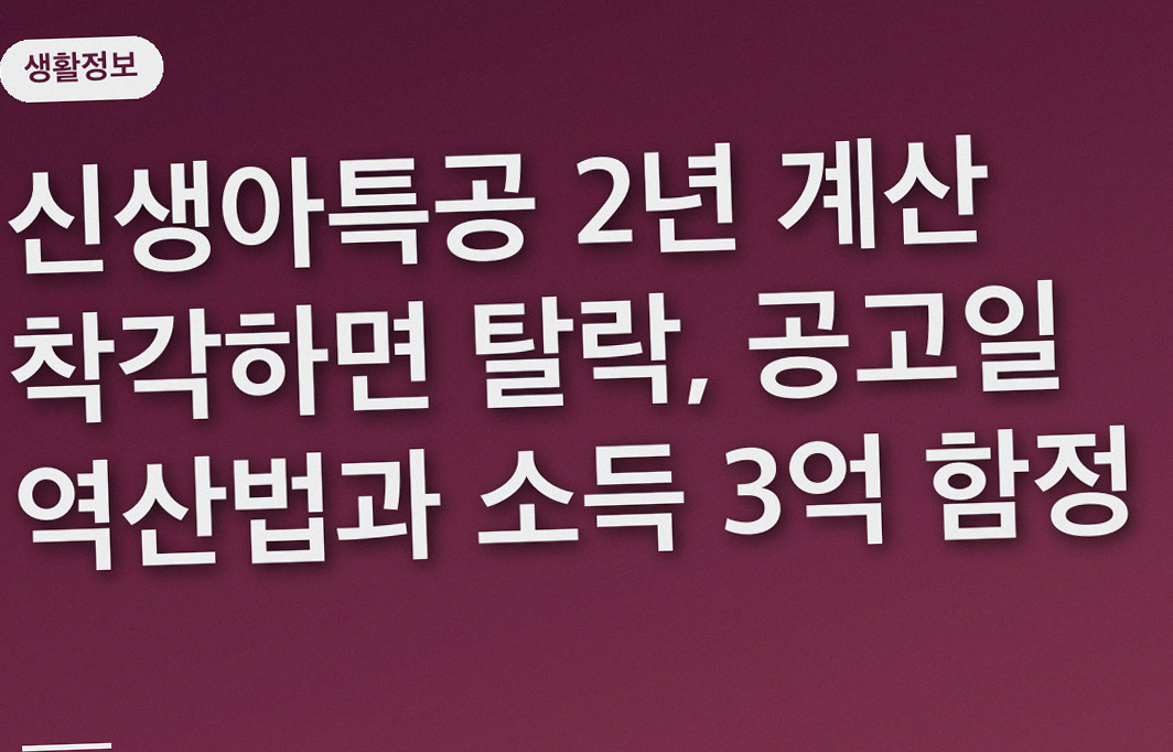 신생아특공 2년 계산 착각하면 탈락, 공고일 역산법과 소득 3억 함정