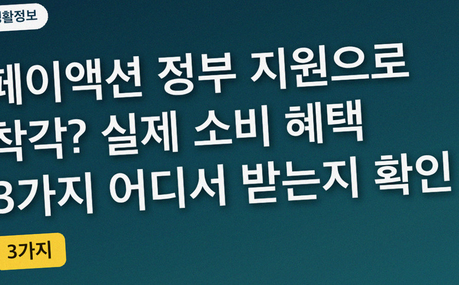 페이액션 정부 지원으로 착각? 실제 소비 혜택 3가지 어디서 받는지 확인