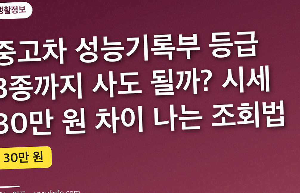 중고차 성능기록부 등급 3종까지 사도 될까? 시세 30만 원 차이 나는 조회법