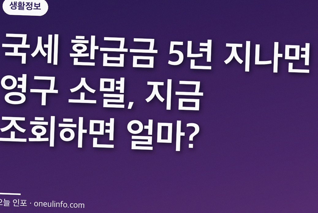 국세 환급금 5년 지나면 영구 소멸, 지금 조회하면 얼마?